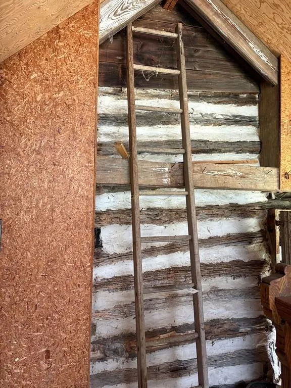 10' Wood Ladder