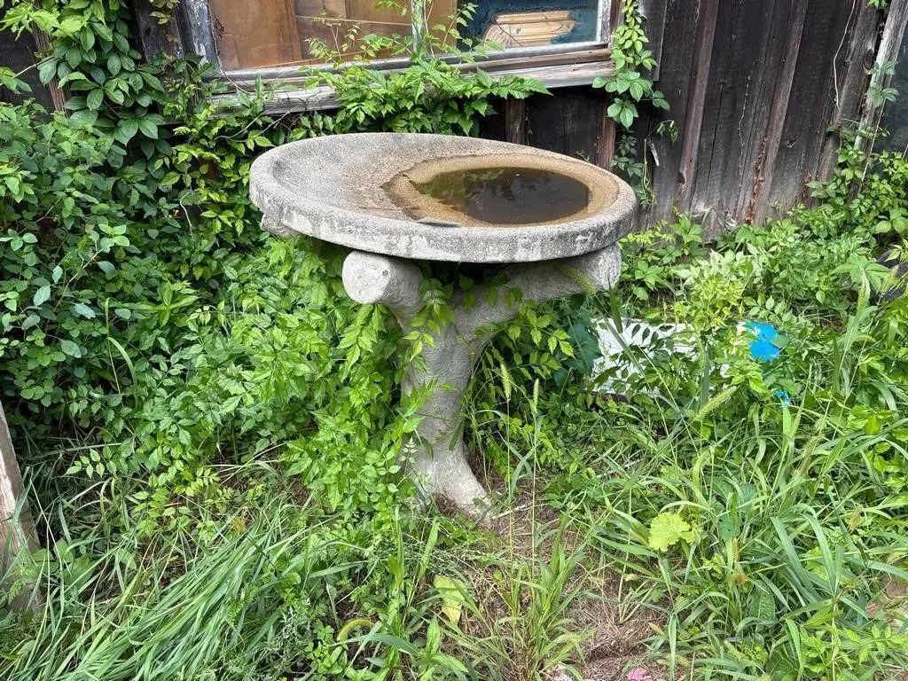 Concrete Bird Bathe