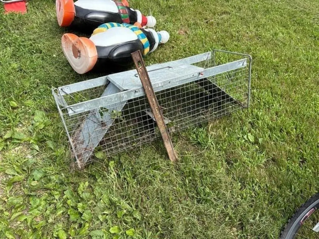Live Trap