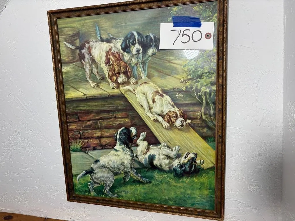 Dog Picture