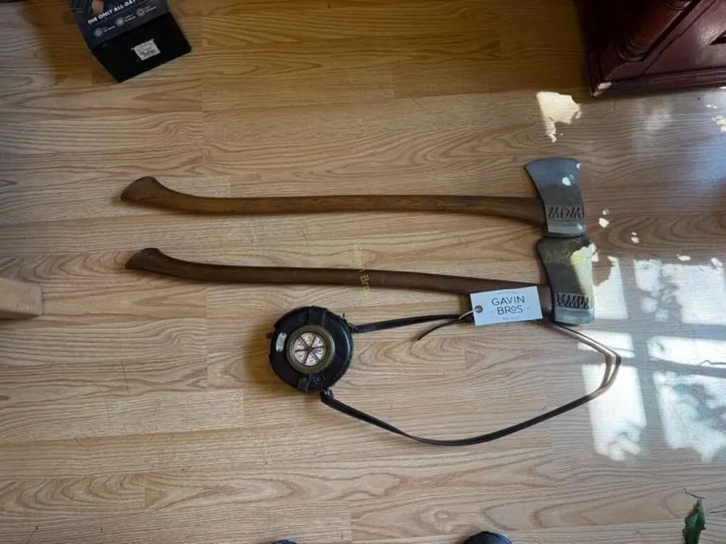 Detex Alert & (2) Decorative Light Axes