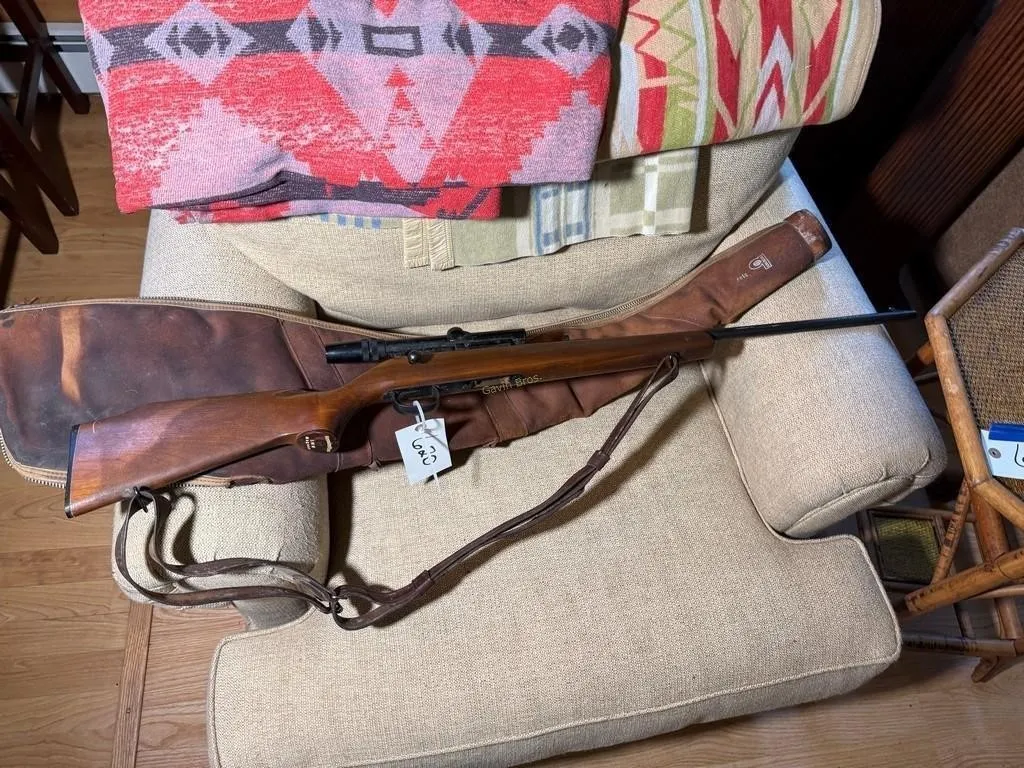 Remington Mdl.591M 22cal Rifle