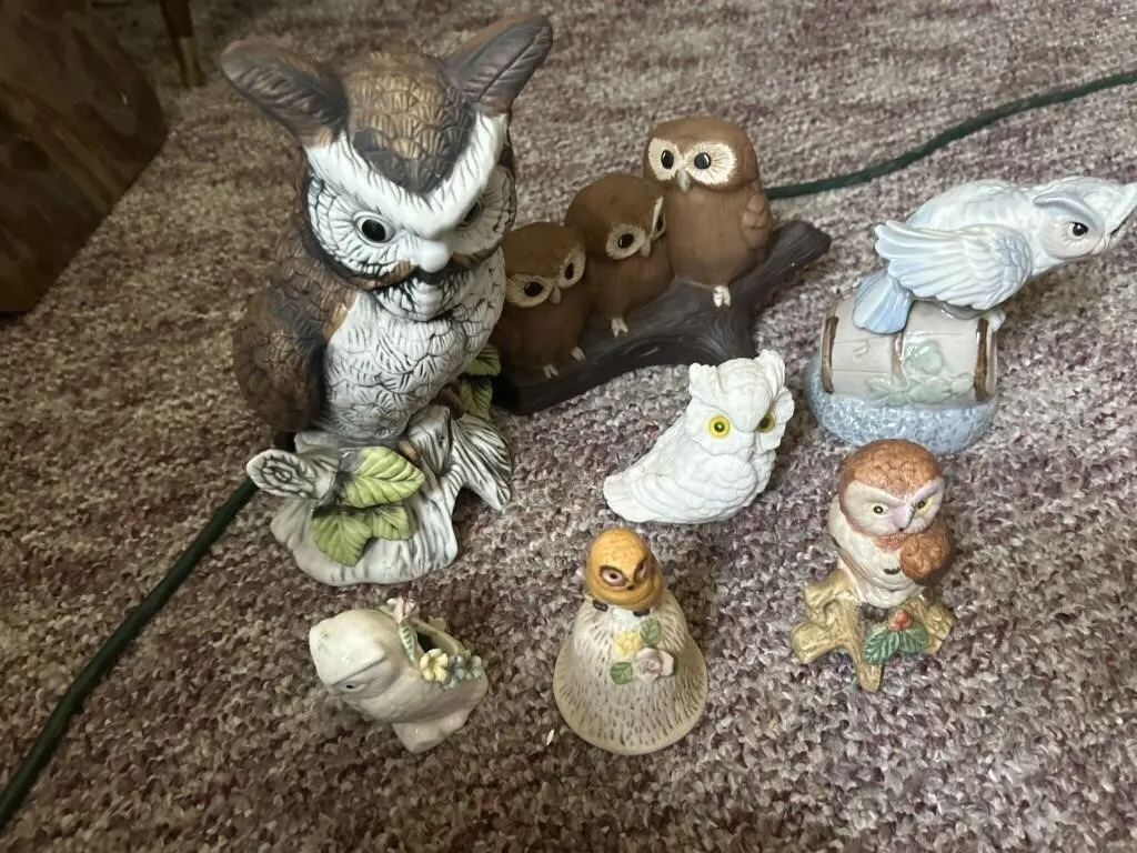 Owls