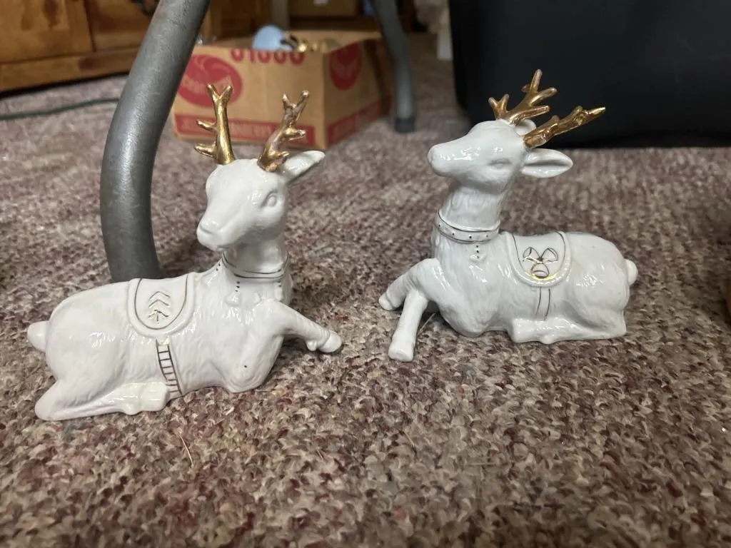 Reindeer