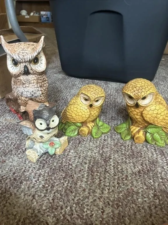 Owls