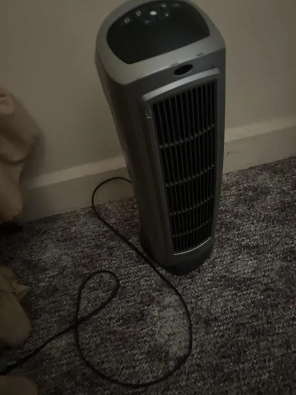 Fan