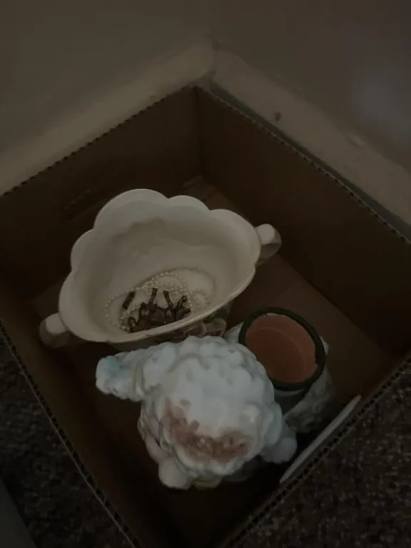 Ceramic flower pots
