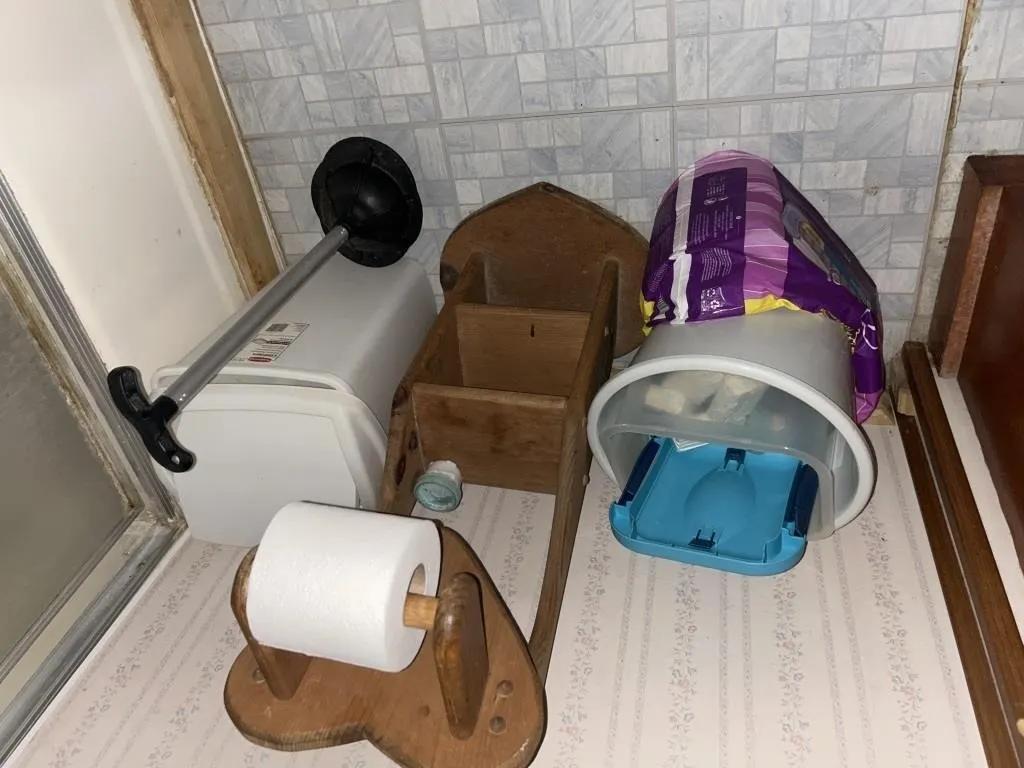 Trashcan, toilet, plunger, pads, toilet paper
