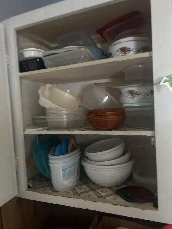 Tupperware, ice cream bowls