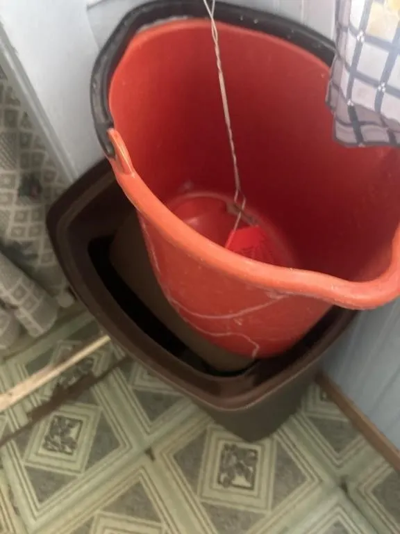 Trash cans, mop, buckets, brooms