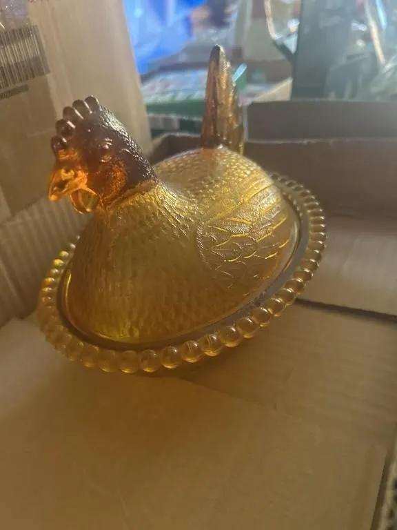 Amber hen on nest