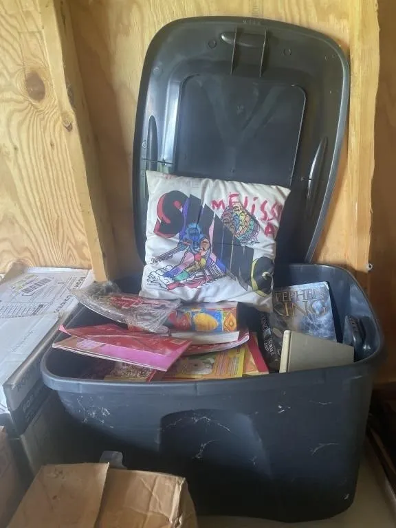 Plastic tote, Steven King books, misc. books &