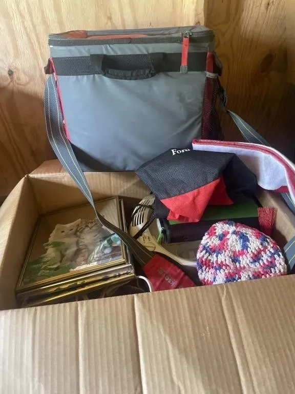 Lunch Tote, pictures, miscellaneous items