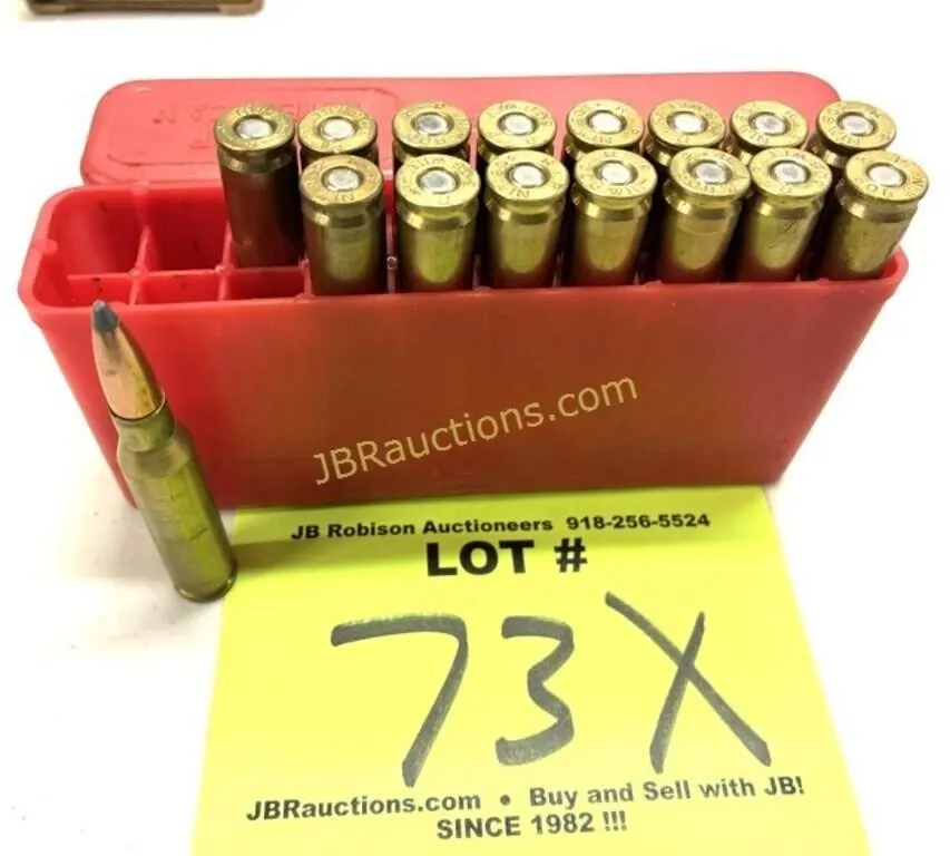 17 RNDS 308 WINCHESTER AMMO
