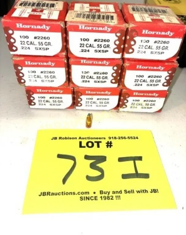 HORNADY 22 CALIBER 55 GR 900 AMMO