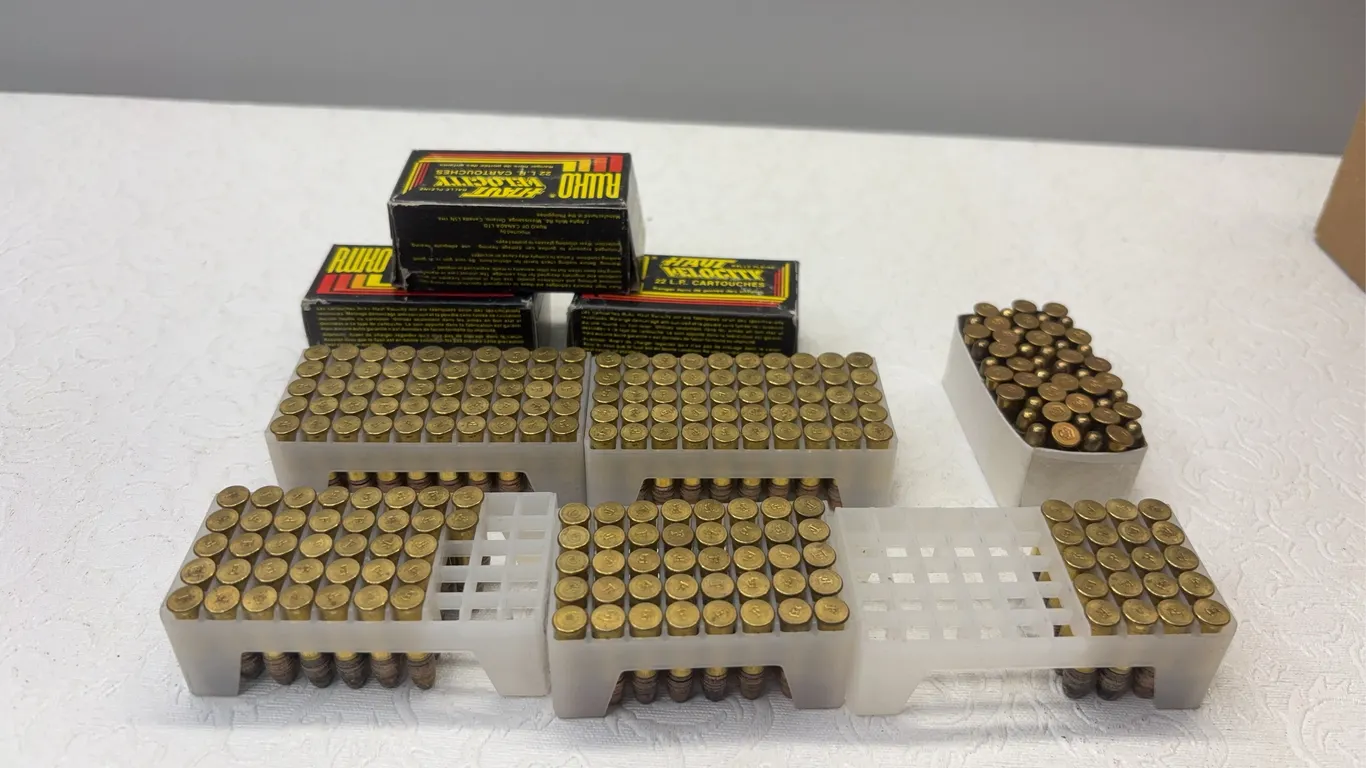 ASSORTED .22CAL AMMUNITION