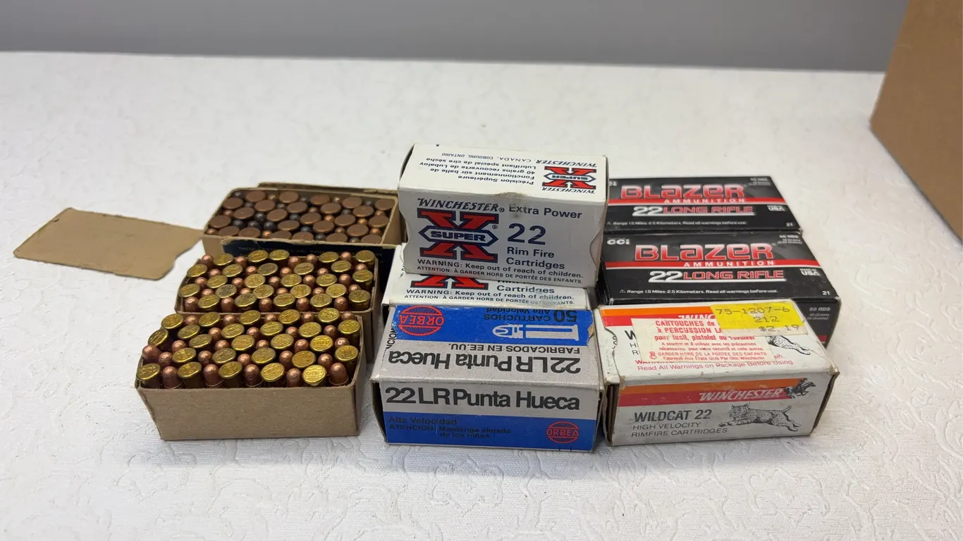.22CAL AMMUNITION