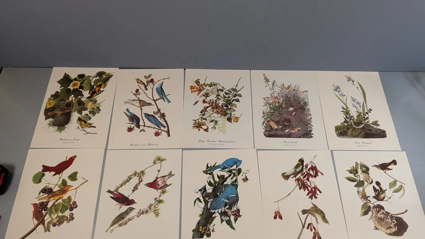 Audubon 18 Best Loved Bird Paintings Full Color Prints