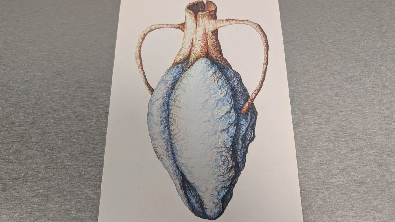 Woudais Amphora Form Limited Edition Print