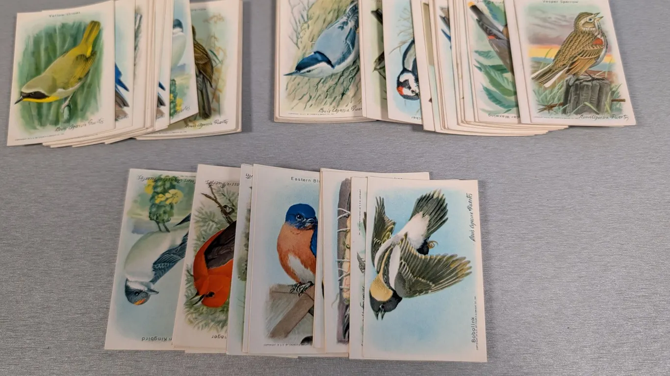 Vintage Church & Dwight Co. Useful Birds of America Trade Cards