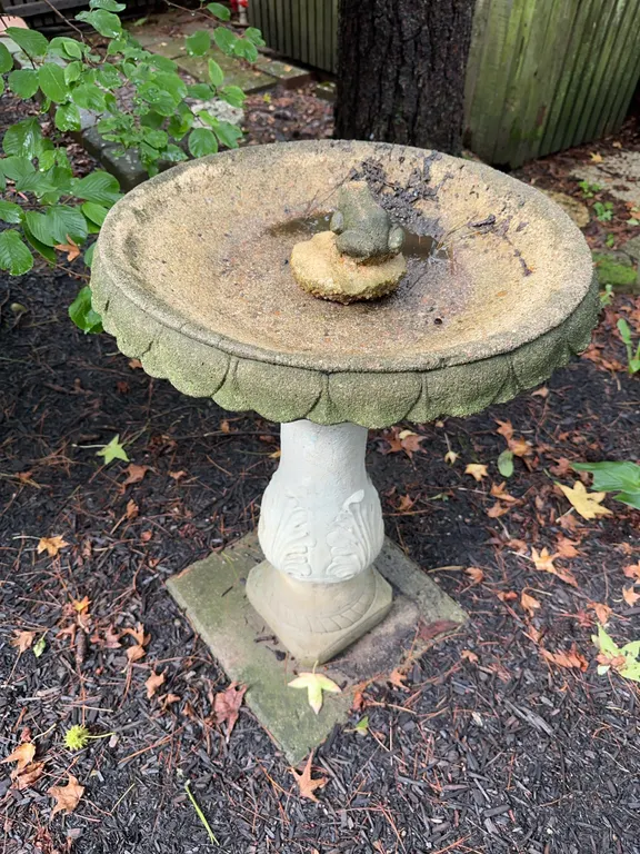 Concrete birdbath