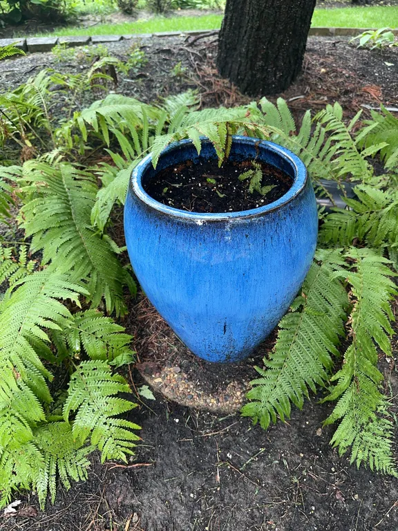 Beautiful glazed pottery planter