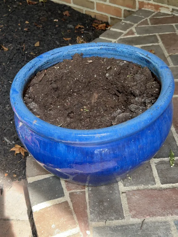 Large garden pot - blue pottery