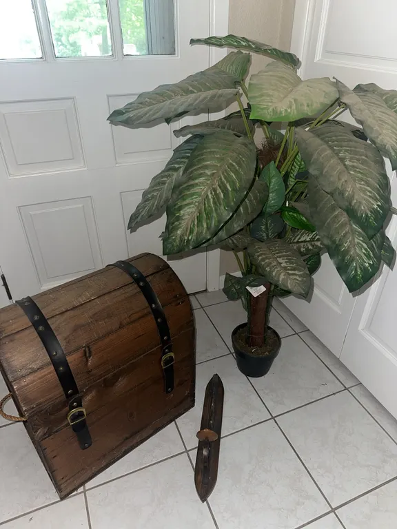 Unusual wood trunk, potted plant, etc.