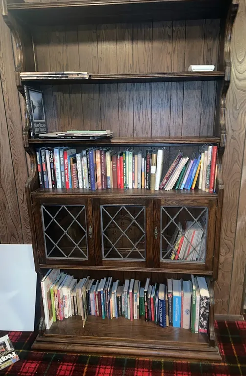 Unusual vintage bookshelf