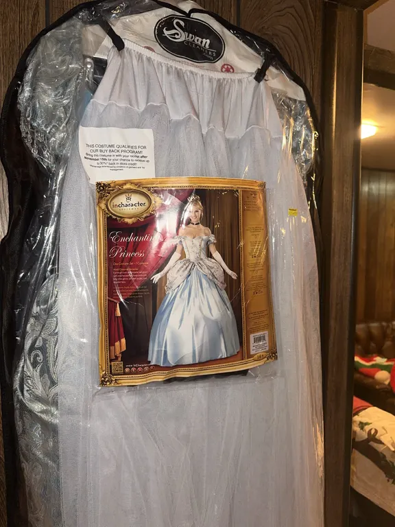 Adult Enchanted Princess costume. List price $285.