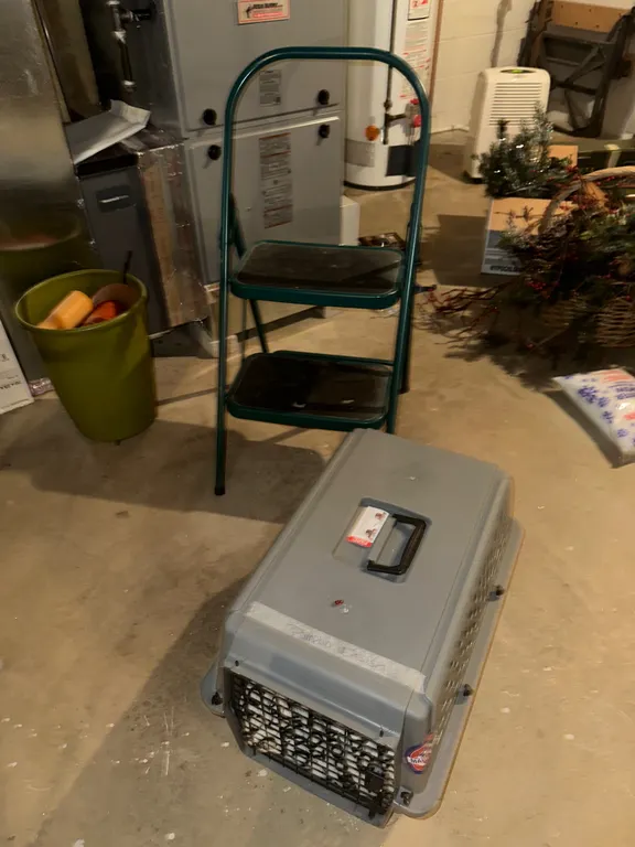 Dog crate and step stool