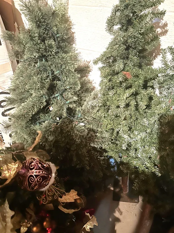 Holiday trees-small and large!