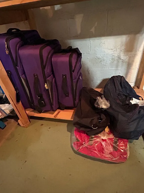 Prodigy Purple Softside Luggage Set and Assorted Travel Bags
