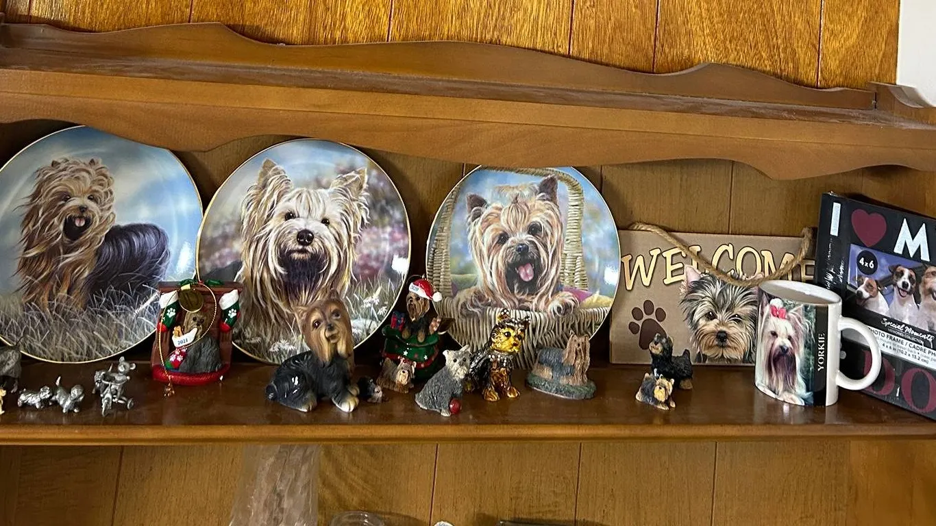 Collection of Yorkshire Terrier Memorabilia