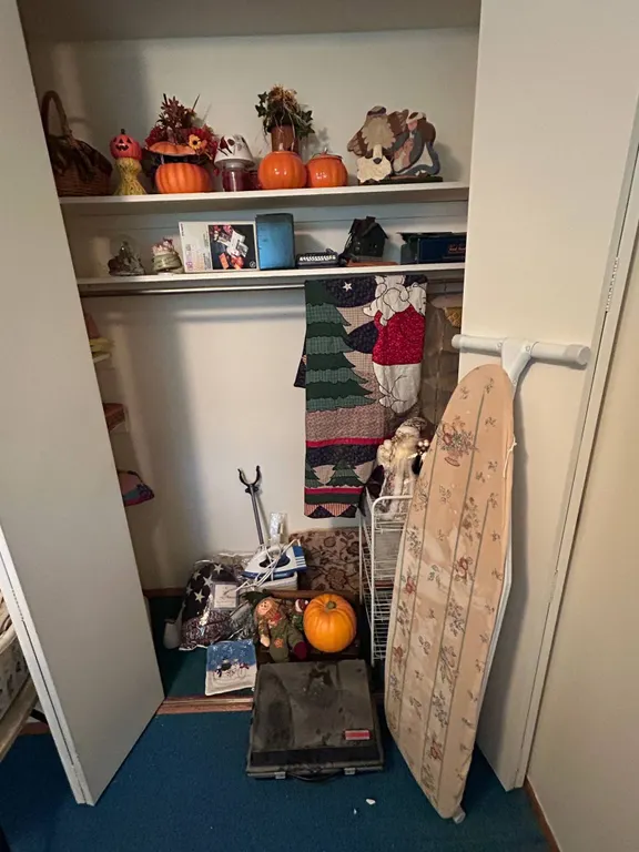 Eclectic Closet Lot Cleanout