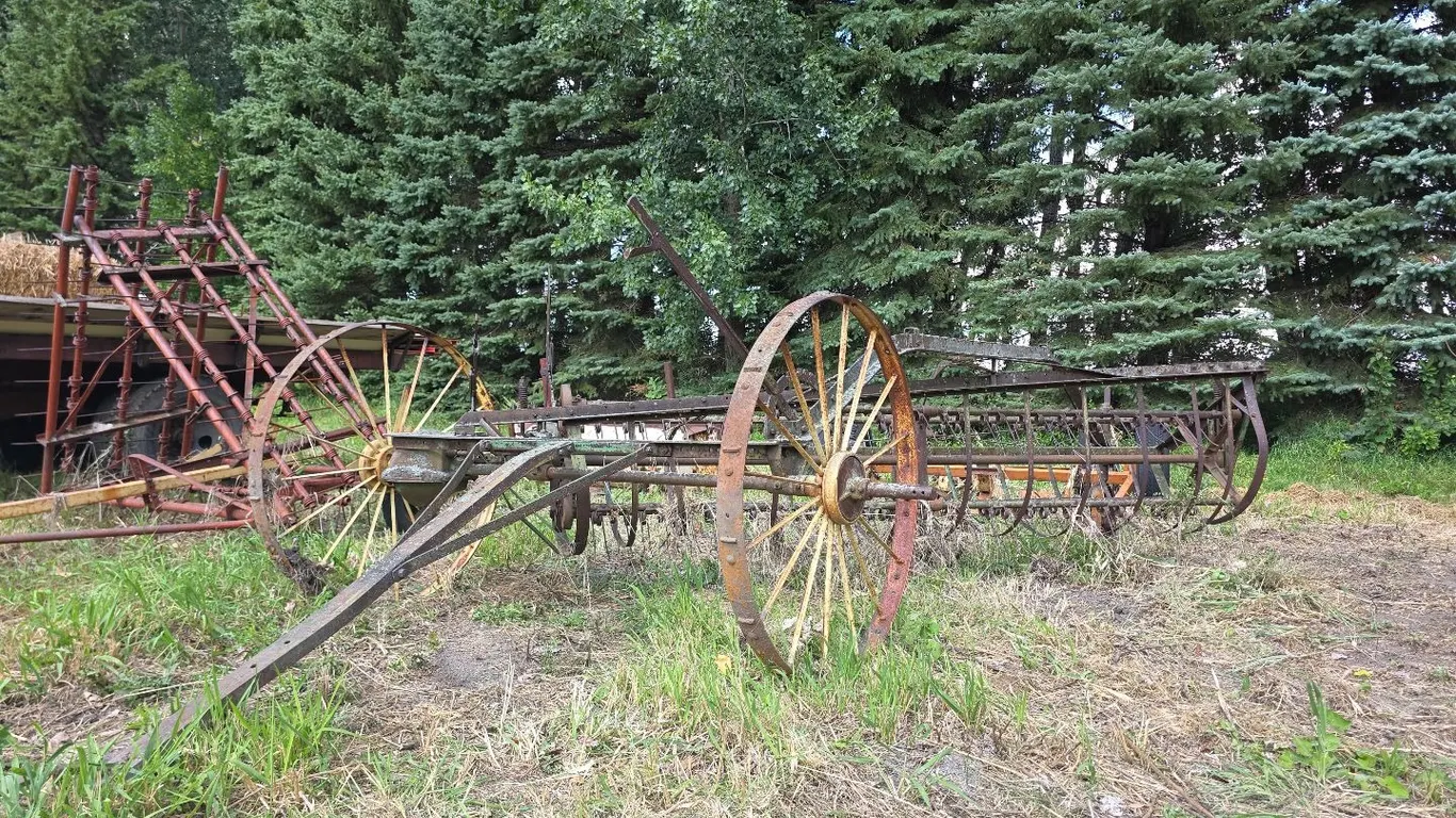 Steel wheeled side delivery rake