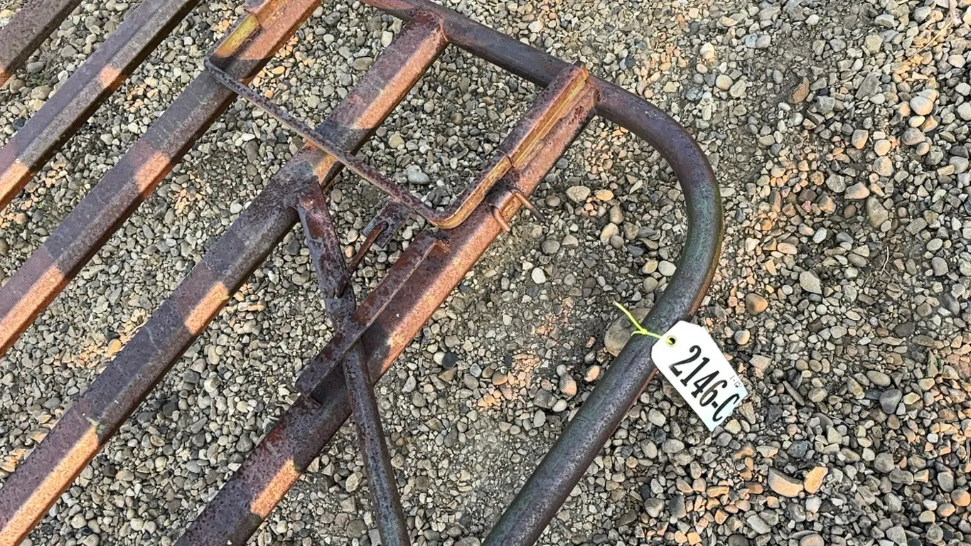 1 - 12' HEAVY DUTY GATE
