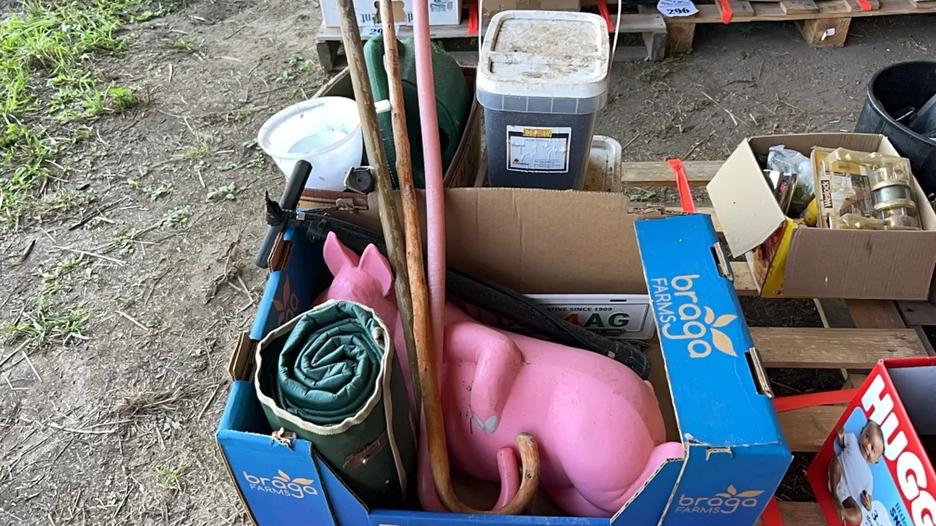 CANES, TIRE PUMP, GARDEN ACCESSORIES, GRASS SEED & BIRD FEED