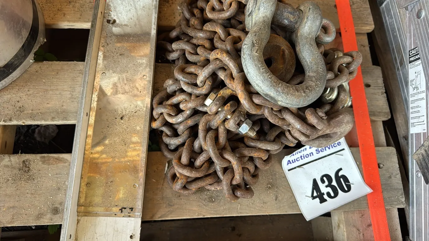 HEAVY CHAIN w/ HOOKS, CLEVIS & ALUMINUM STRIPS