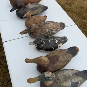 8 wooden duck decoys - vintage