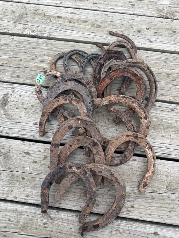 horse shoes - antique