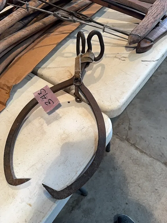 Ice tongs