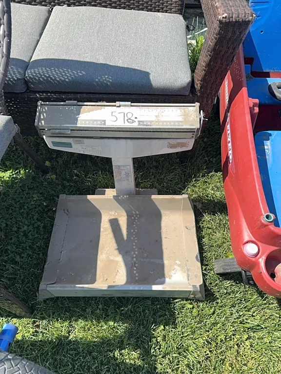 baby scale