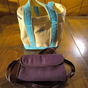 Tote & Wallet Lot