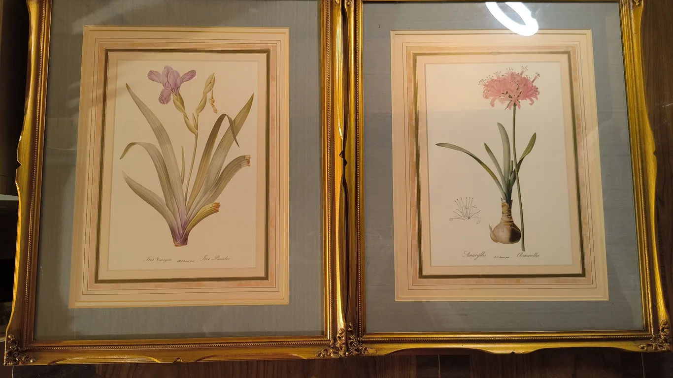 Vintage Botanical Framed Prints Lot