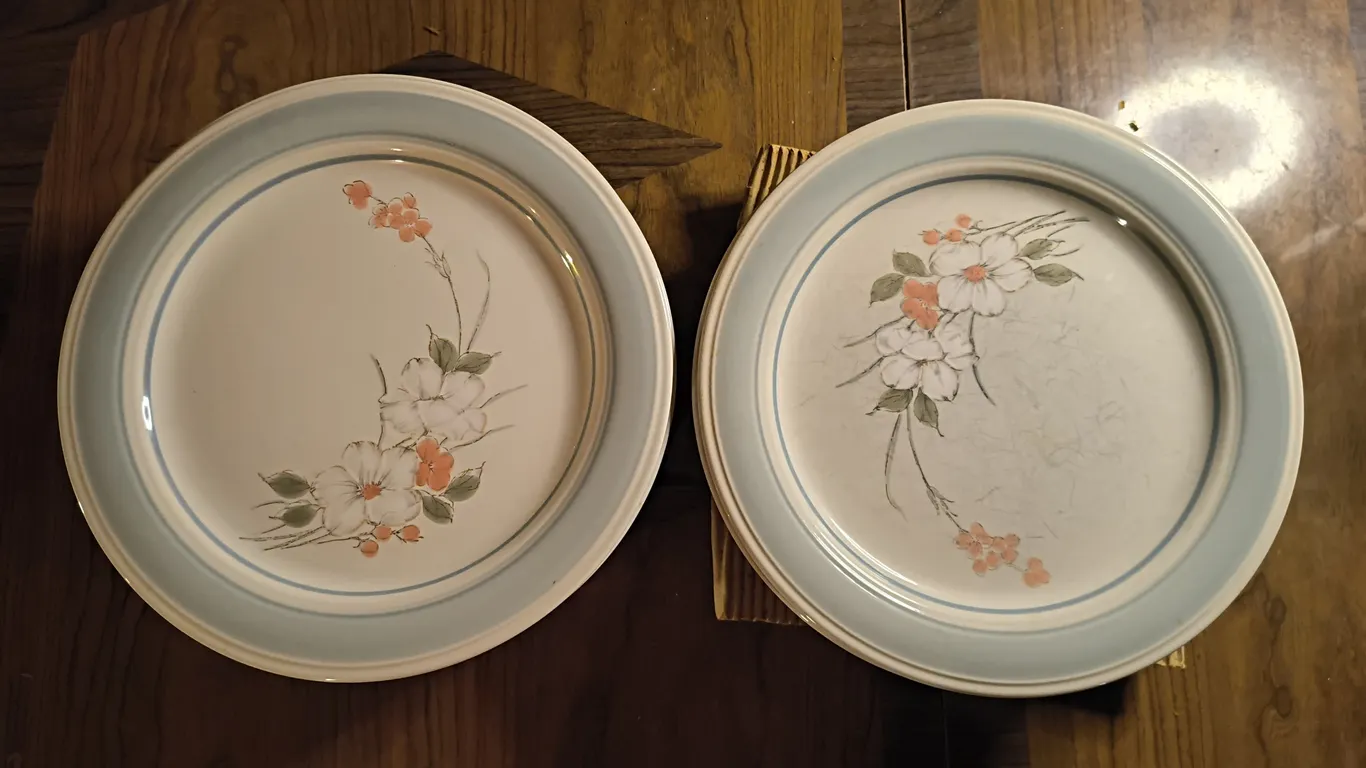Impressions by Daniele Stoneware Collection Plates Made in Japan Lot
