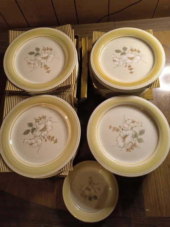 Vintage Country Day Stoneware Pattern Impressions By Daniele Plates Lot