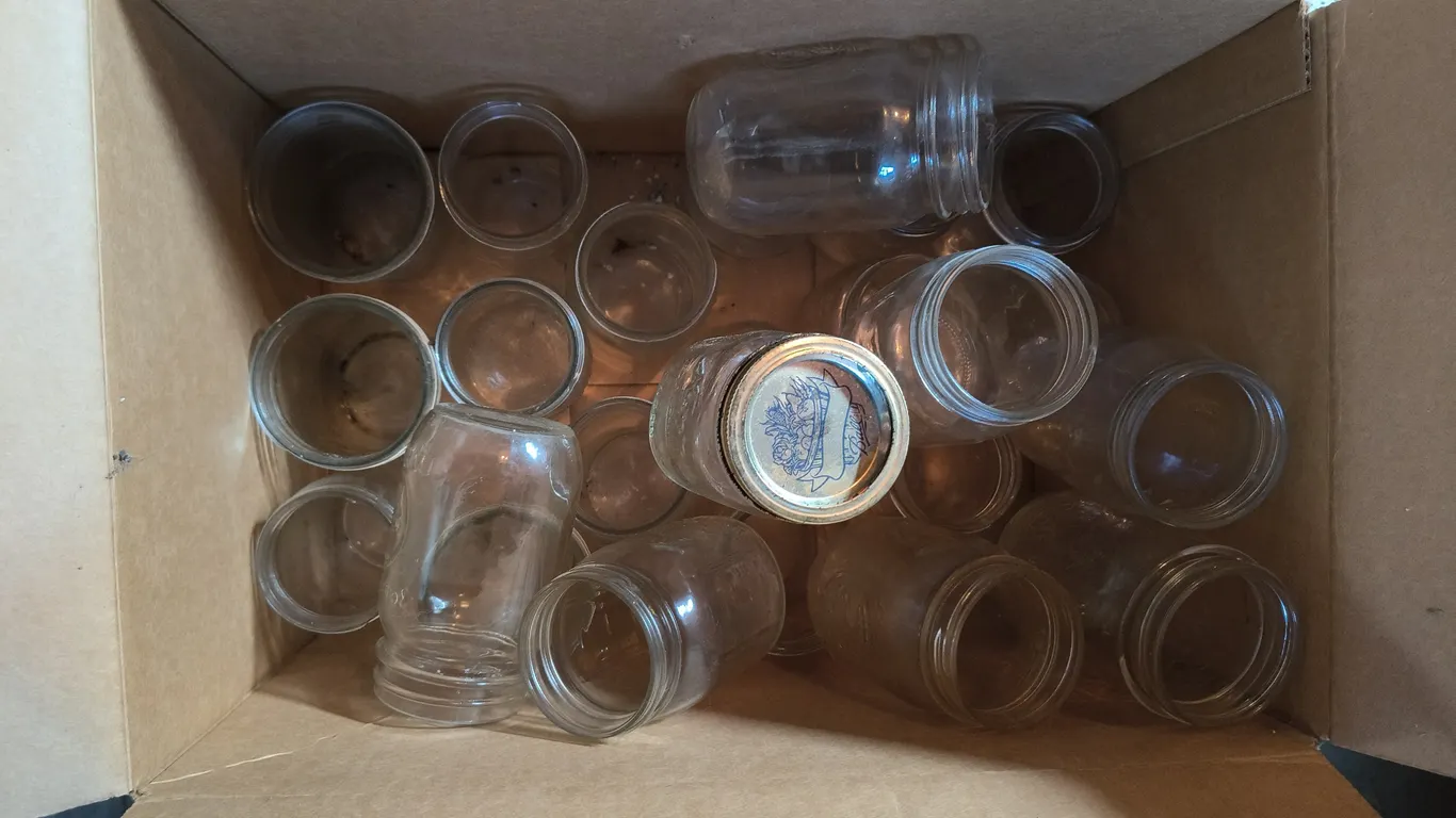 Assorted Canning Jars Lot