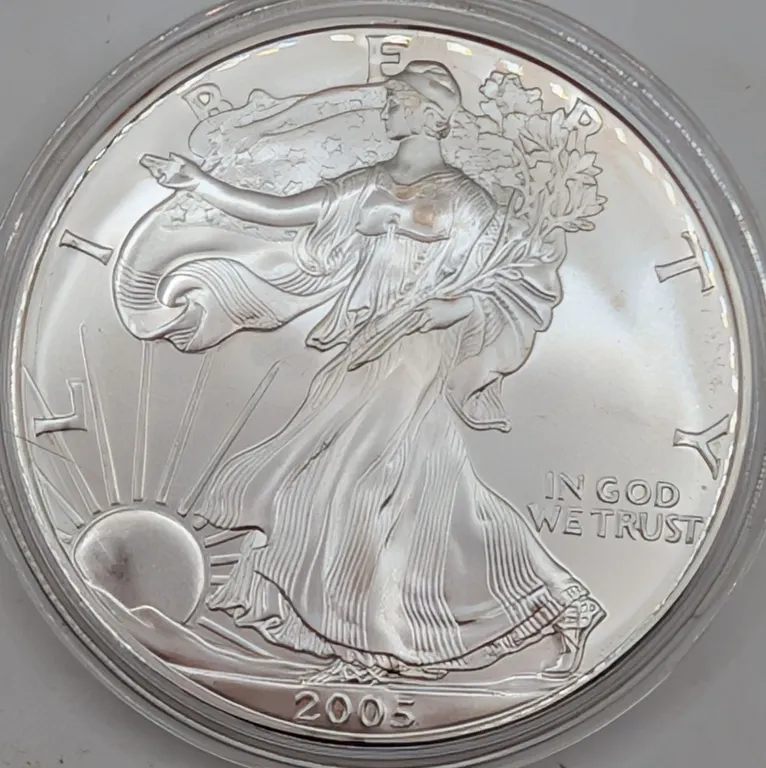2005 American Silver Eagle $1 Brilliant Uncirculated (1 oz Fine Silver, Protective Capsule)