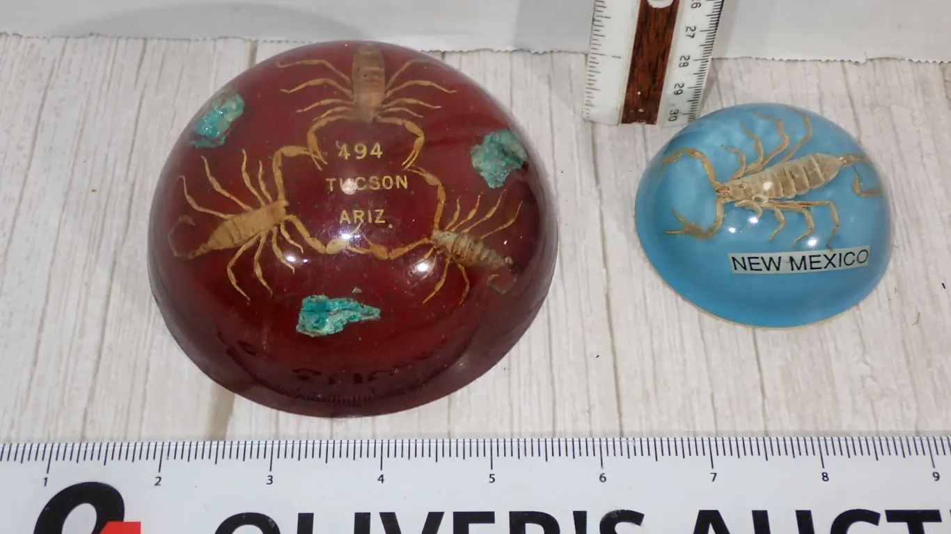 Vintage Southwest Turquoise Nugget & Scorpion Taxidermy Lucite Resin Paperweight Souvenir Lot